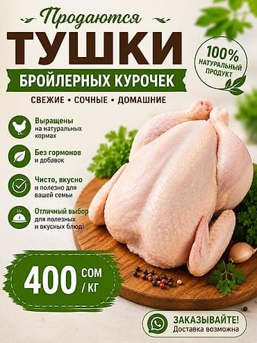 Тушки бройлерных курочек — 100% натуральный продукт. Свежие, сочные at lalafo.kg Тушки бройлерных курочек — 100% натуральный продукт. Свежие, сочные