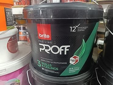 Краска акриловая brite PRO LINE PROFF для стен и потолков. Основные
