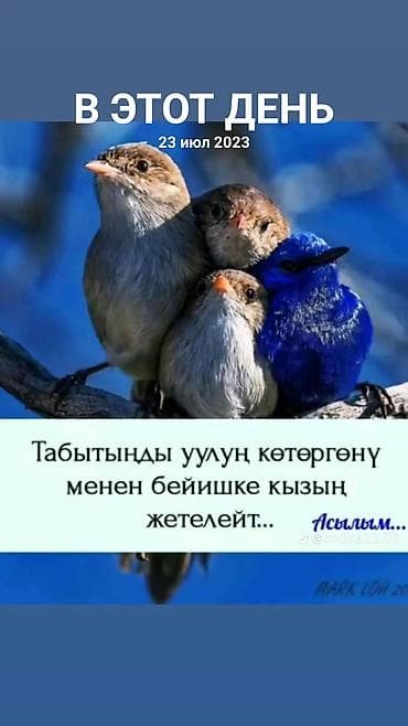 Требуется Домработница, График: Сменный график, Неполный рабочий день, Оплата: Сдельная