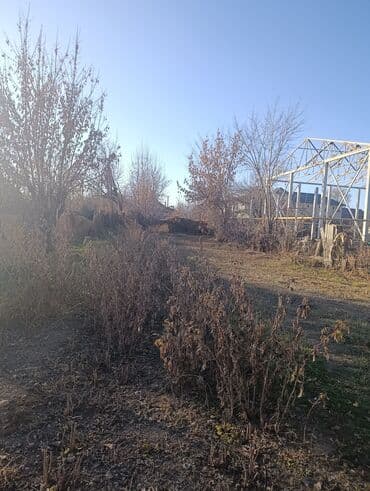 офис дом: Дом, 80 м², 4 комнаты, Собственник — 9