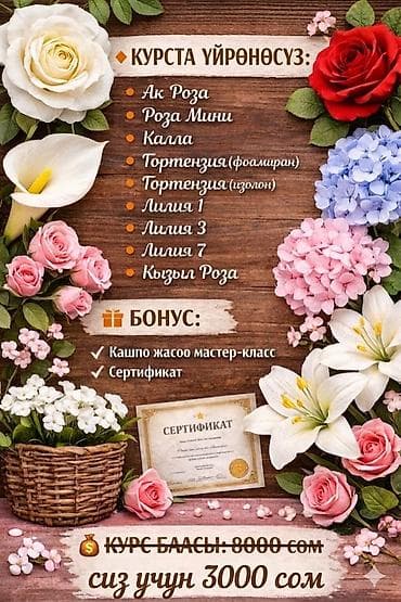 Выдается сертификат