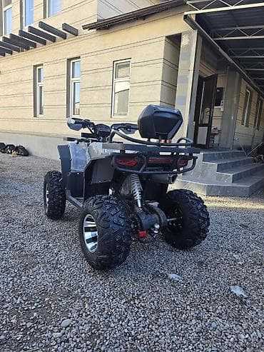 rx 6600: Квадроцикл Бензин, 250 куб. см, Взрослый — 7