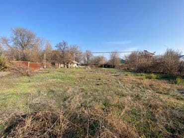 село восток дом: 17 соток, Для бизнеса, Красная книга — 11