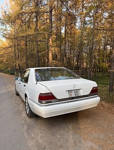 кабан: Mercedes-Benz S-Class: 1993 г., Автомат, Бензин — 2