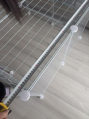 жаныбарлар: Башка торлор — 5