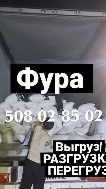 Грузчик. 3-5 лет опыта at lalafo.kg Грузчик. 3-5 лет опыта