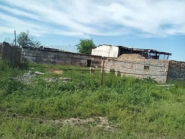 павильон мясной: Продаётся фермерский объект под содержание крупного рогатого скота. - — 2