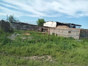 домик совхоз фрунзе: Продаю Ферма КРС, 10 соток, Действующий, Без оборудования, Электричество, Холодная вода — 4
