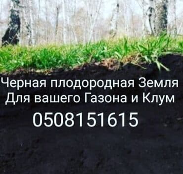 металлоискатель бишкек цены: 6 жылдан ашык тажрыйба — 3