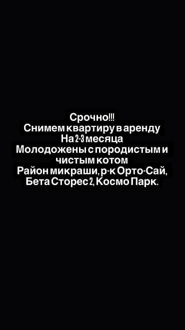 мини квартиры: Ищу квартиру в аренду на короткий срок (2-3 месяца) В 3;4;5;6;7;11 — 1