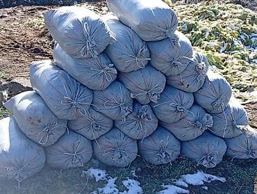 навоз в мешках бишкек: Перегной в мешках, сеянный, пятилетней выдержки доставка от 12 - 15 — 3