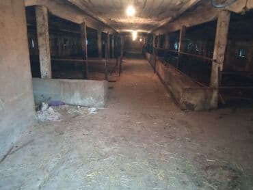 продаю дом шербакова: 77 соток, Электричество, Скважина, Холодная вода — 5