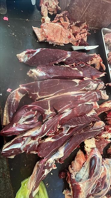 купить карова: Куплю | Коровы, быки, Козы, козлы, Лошади, кони | На забой, на мясо — 5