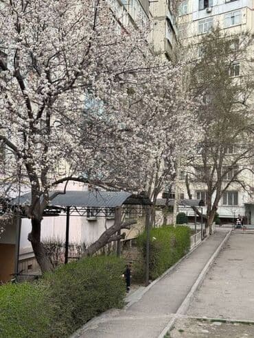 продажа квартир трёх комнатную тунгуч микрорайон 106 серия: 3 комнаты, 70 м², 106 серия, 8 этаж, Косметический ремонт — 10