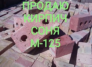 Пустотелый, дырчатый, Жженый кирпич, Полублок, 250×120×90