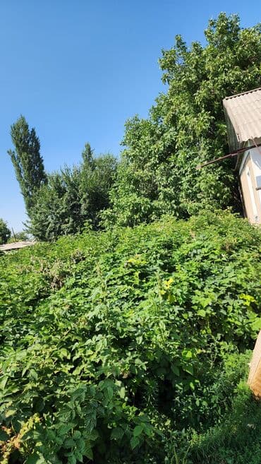 дом село кызыл туу: Дом, 165 м², 5 комнат, Собственник — 7