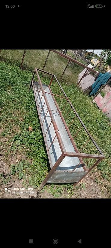 собака бишкек: Комплект для хозяйства: металлические баки с крышками + длинная — 4