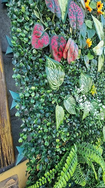 настенные цветы: Искуственная вертикальная зеленая стена (панели) размер 40×60 см — 4