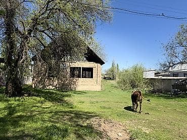 продаю дом с люксембург: Продаю дом . Село Чалдовар ул.Верхняя 15 соток дом 100 кВ — 4