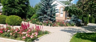 цены на отдых на иссык куле: Коттедж, КАПРИЗ ЦО Каприз, Чолпон-Ата, Теннисный корт, Футбольное поле, Баскетбольная площадка — 16