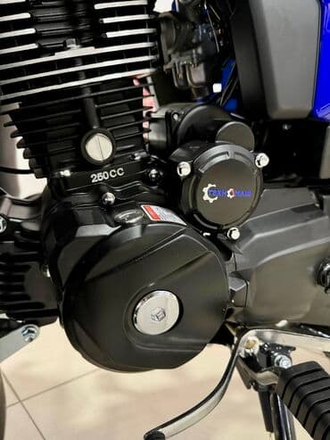 cobra выхлопные системы для мотоциклов: Классический мотоцикл 250 куб. см, Бензин, Взрослый, Новый — 6