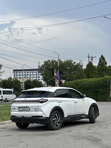 kia электромобиль: BYD : 2022 г., Электромобиль, Кроссовер — 7