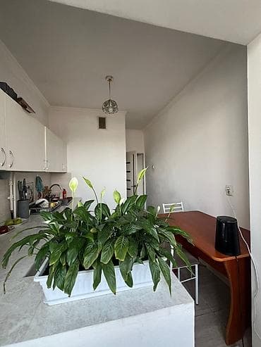 16 м², С мебелью