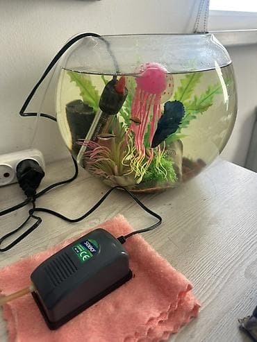 продажа аквариумных рыбок: Аквариумный комплект для дома/офиса Состав: - Стеклянный — 1