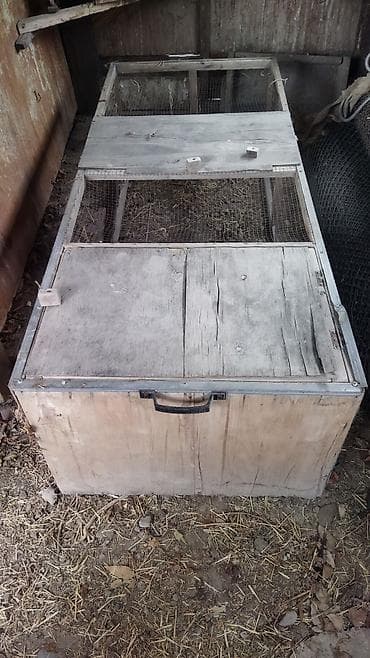 клетка курица: Клетка/домик для кур и цыплят 2 штуки. - Конструкция из фанеры и бруса — 2