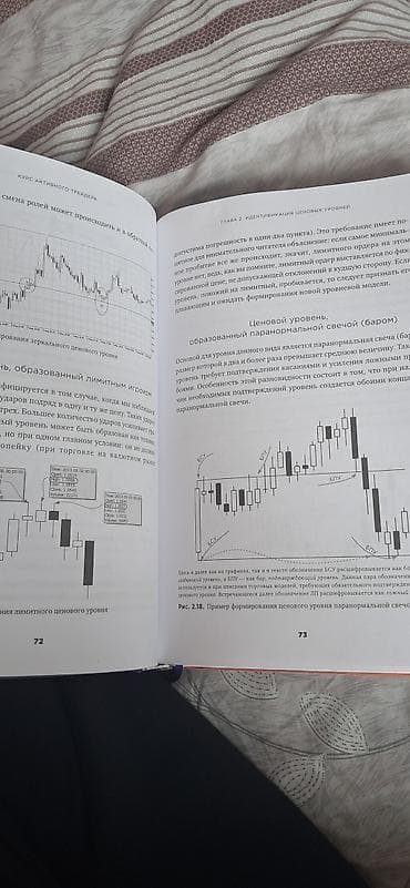 Учебники: Книга: «Курс активного трейдера. Покупай, продавай, зарабатывай» — 4