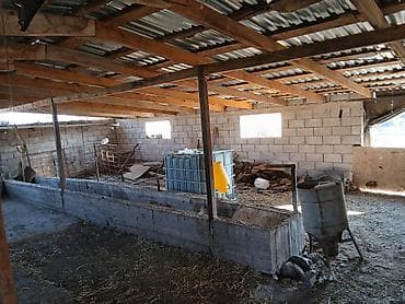 Коммерческая недвижимость: Farm КРС, 18 соток, Электричество — 5