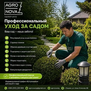 рябчик: Уборка территории — 1
