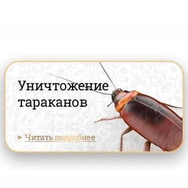Клининговые услуги: Дезинфекция, дезинсекция, | Блохи, Клопы, Тараканы, | Квартиры, Офисы, Транспорт — 1