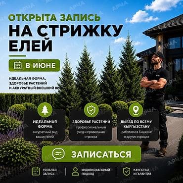 слив ош: Профессиональная стрижка елей — запись на июнь. Что входит: - — 1