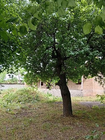с новопавловка: 7 соток, Для строительства — 3