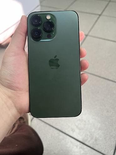 часы coros: IPhone 13 Pro, Alpine Green, Кабель — 1