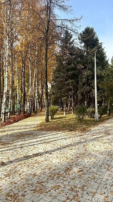 коттеджи солнышко: Продается коттедж в пансионате Солнышко, Чок-Тал. Собственник. Участок — 8