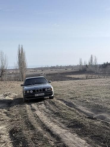 BMW 5 series: 1991 г., Механика, Седан — 3