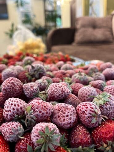 шоковая заморозка оборудование: Камера шоковой заморозки Камера шоковой заморозки на 6 уровней — 9