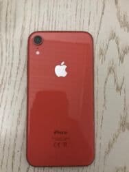 айфон ноутбук сколько стоит: IPhone Xr, 128 ГБ, Кызгылт сары, Кулакчындар, Заряддоочу түзүлүш, Коргоочу айнек — 1