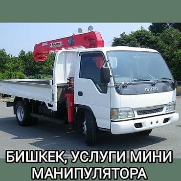 фототерапия бишкек: Услуги мини-манипулятора в Бишкеке. - Автомобиль Isuzu с бортовой — 1