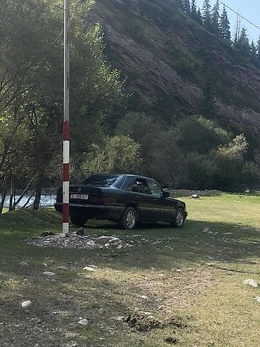 авто подборщик: Mercedes-Benz W124: 1992 г., 2.2 л, Механика, Бензин, Седан — 2