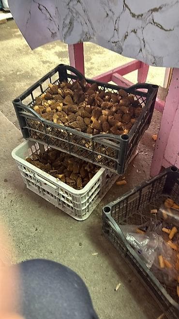 банки маленькие купить: Сморчки лесные (свежесобранные) - Ароматные весенние грибы со — 2