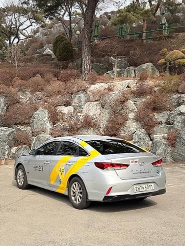 sonata: Hyundai Sonata: 2019 г., 2 л, Газ, Седан — 4