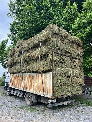где купить утят: Сено в тюках - Прессованные тюки прямоугольной формы, удобные для — 1