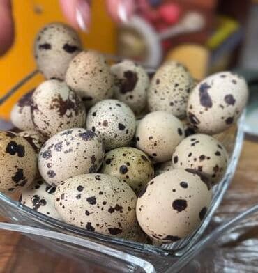 оптом курут: ✅ Бөдөнө жумуртка ✅ Өзүбүздүн эко формадан☝️ ❗Минималка 10 — 1