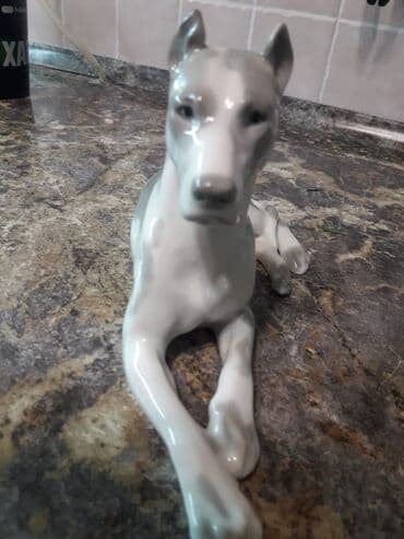 американский док: Королевский дог ЛФЗ — 2