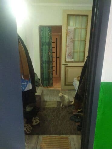 ройон восток 5: 2 комнаты, 60 м² — 3