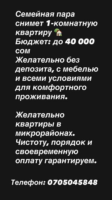 Семейная пара ищет в аренду 1‑комнатную квартиру. Бюджет: до 40 000