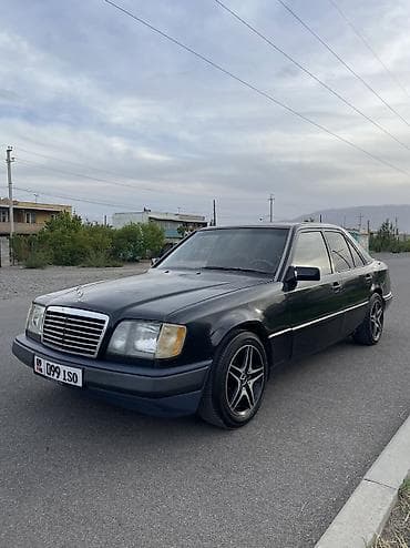 Mercedes-Benz W124: 1995 г., 3.2 л, Автомат, Газ, Седан
